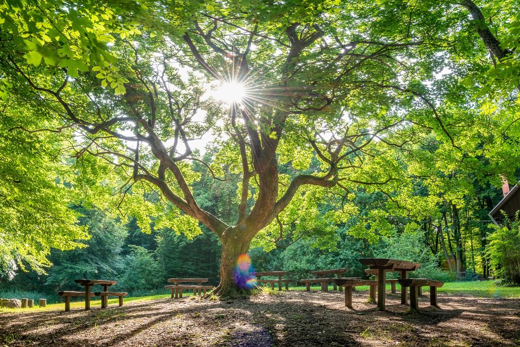 Jelentős turisztikai fejlesztések indulnak a Pilisi Parkerdő területén