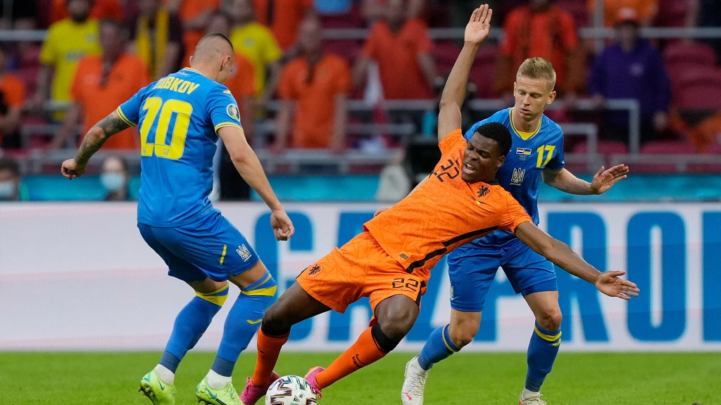 Foci Eb: kivirult a holland tulipán