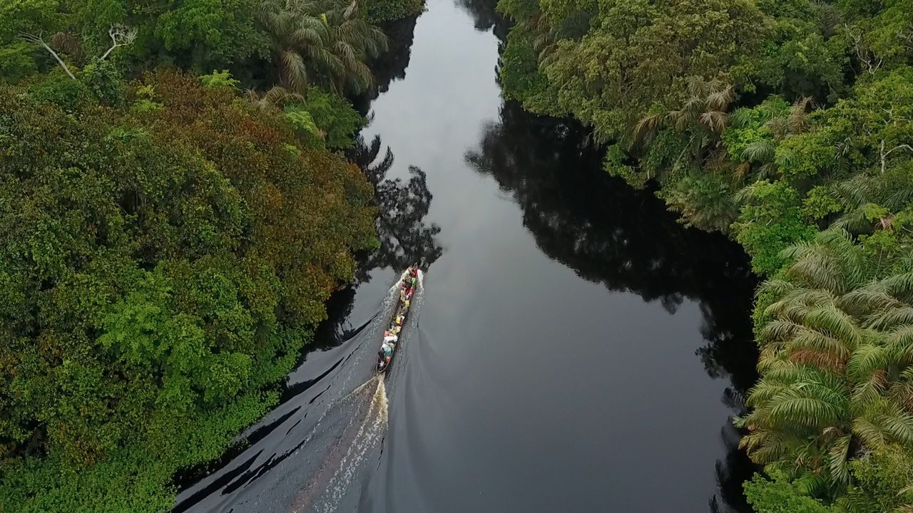 Lekerült a veszélyben lévő világörökségi helyszínek listájáról a Salonga Nemzeti Park