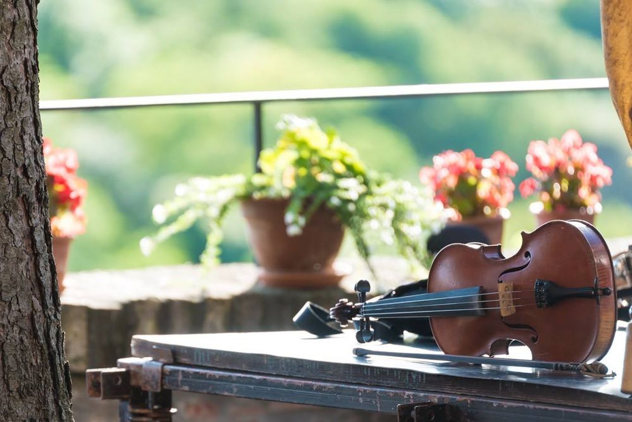 Augusztus elején rendezik az Auer fesztivált Veszprémben