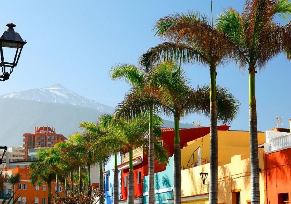 Foglalj, különben még a delfinek bemutatójáról is lemaradsz!