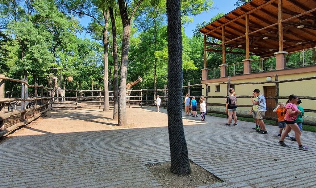 Késő esti programokkal várják a látogatókat a Szegedi Vadasparkban