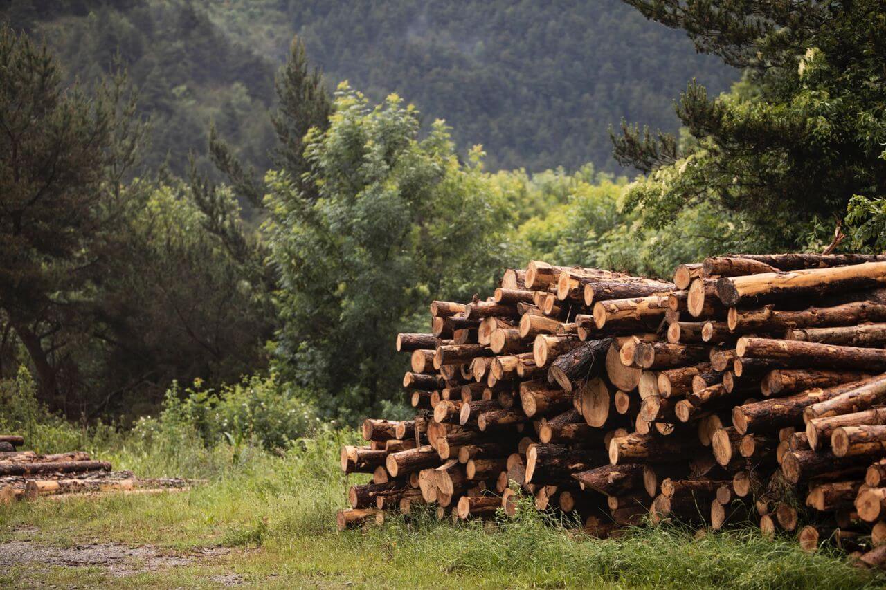 Facebookon terjed a tűzifa átverés