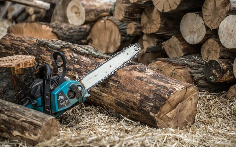 Hiába beszéltek kiviteli tilalomról a tűzifával kapcsolatban, 90 ezer tonnát exportált a magyar állam