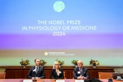 A mesterséges intelligencia úttörői kapták a 2024-es fizikai Nobel-díjat