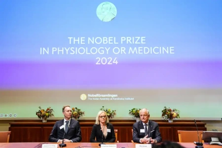  A mesterséges intelligencia úttörői kapták a 2024-es fizikai Nobel-díjat