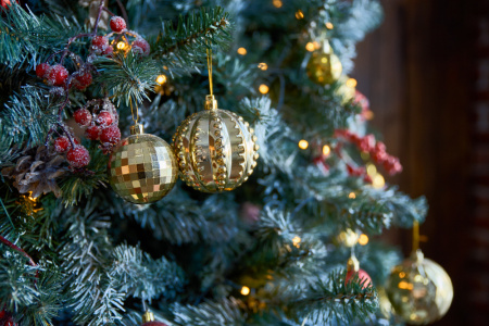  Hétfőn érkezik a 23 méteres karácsonyfa az Országház elé