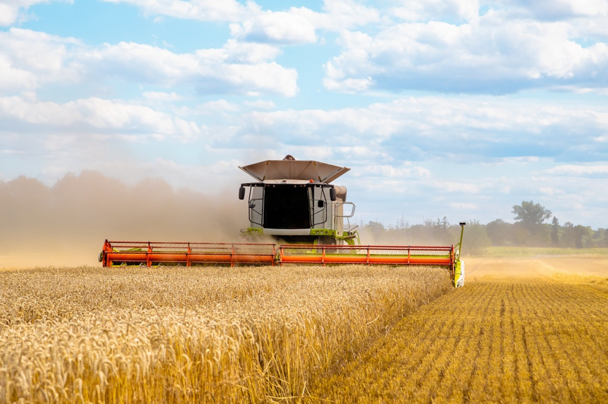 Elszabaduló árak a mezőgazdaságban: egy hónap alatt átlagosan 8,3 százalékos a drágulás