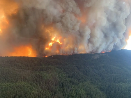  Tűzvész pusztít az Appalache-hegységben, már több ezer hektár lángokban