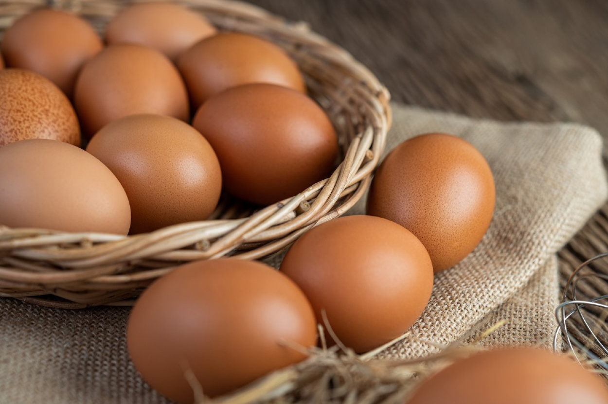 Zuhanórepülésben a tojás ára! Egyetlen nap alatt 30 százalékkal lett olcsóbb