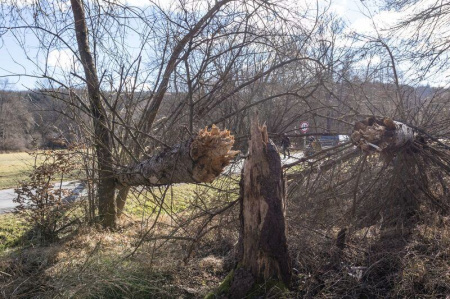  Vihar: Letört faágak, kidőlt fák, akadozó áramellátás