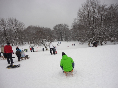  Megsemmisítették a Normafára épített sífutó- és szánkópálya engedélyeit! Ennek most örüljünk?