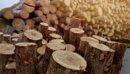  Bármennyire fáznál, a tuzifanagyker.hu oldalról akkor se rendelj tűzifát, ha olcsón kínálják