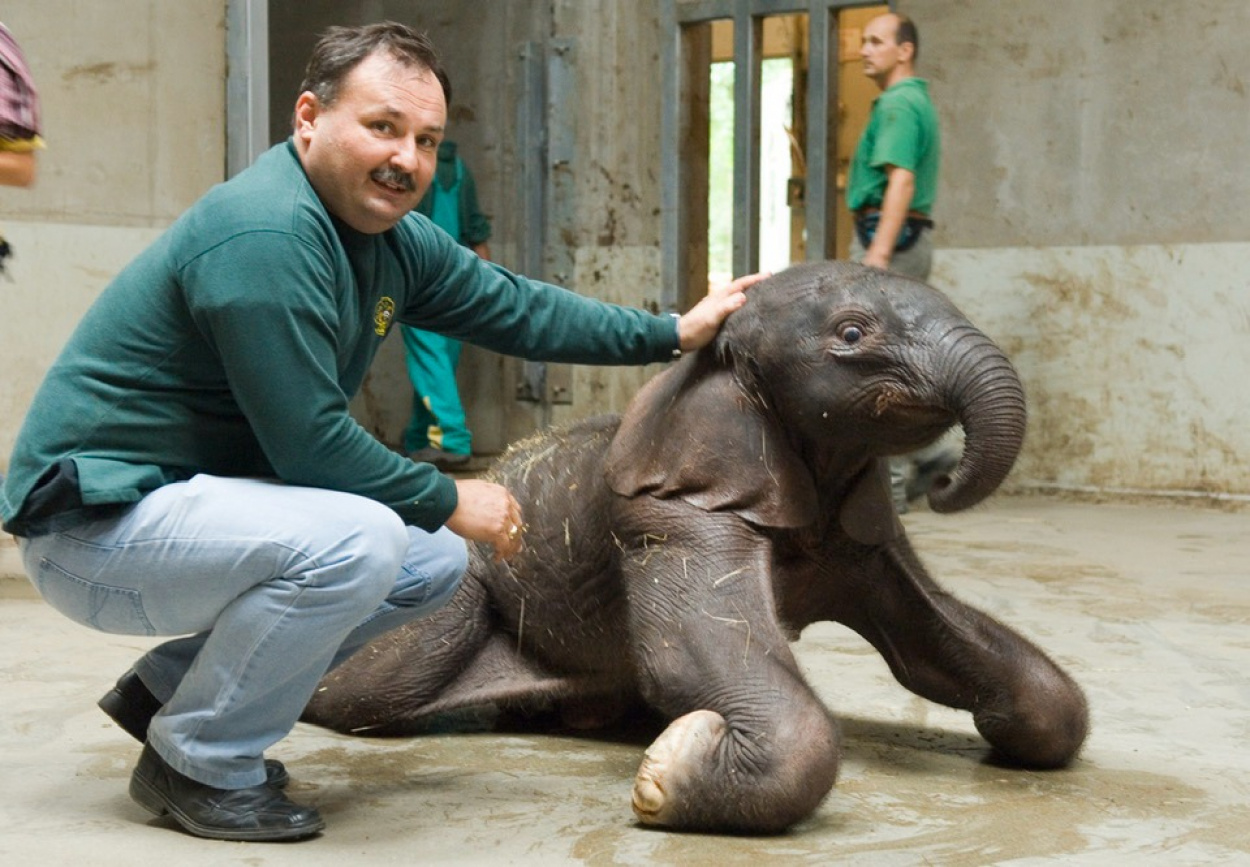 Magyar Péter nekiment Lázár Jánosnak Gajdos László védelmében