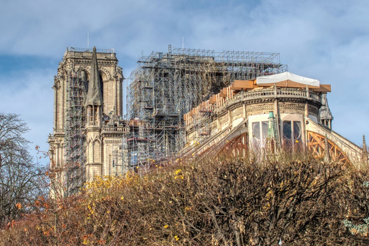 Ezer ősfából épül újjá a Notre Dame