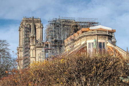  Ezer ősfából épül újjá a Notre Dame