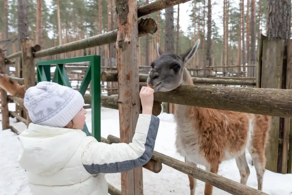 Jótékonysági nap a Kecskeméti Vadaskertben