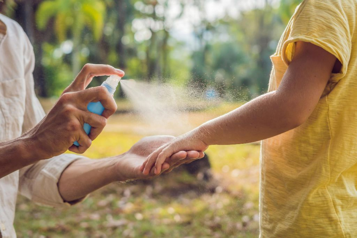 Csípnek a szúnyogok? Nyolc vármegyében gyérítik a szúnyogokat