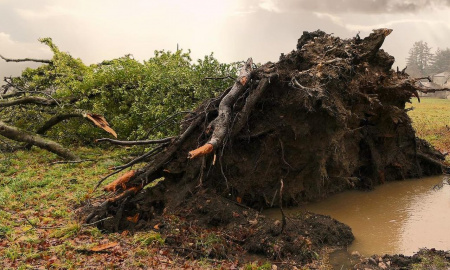  Lengyelországban a szélvihar miatt sokan maradtak áram nélkül