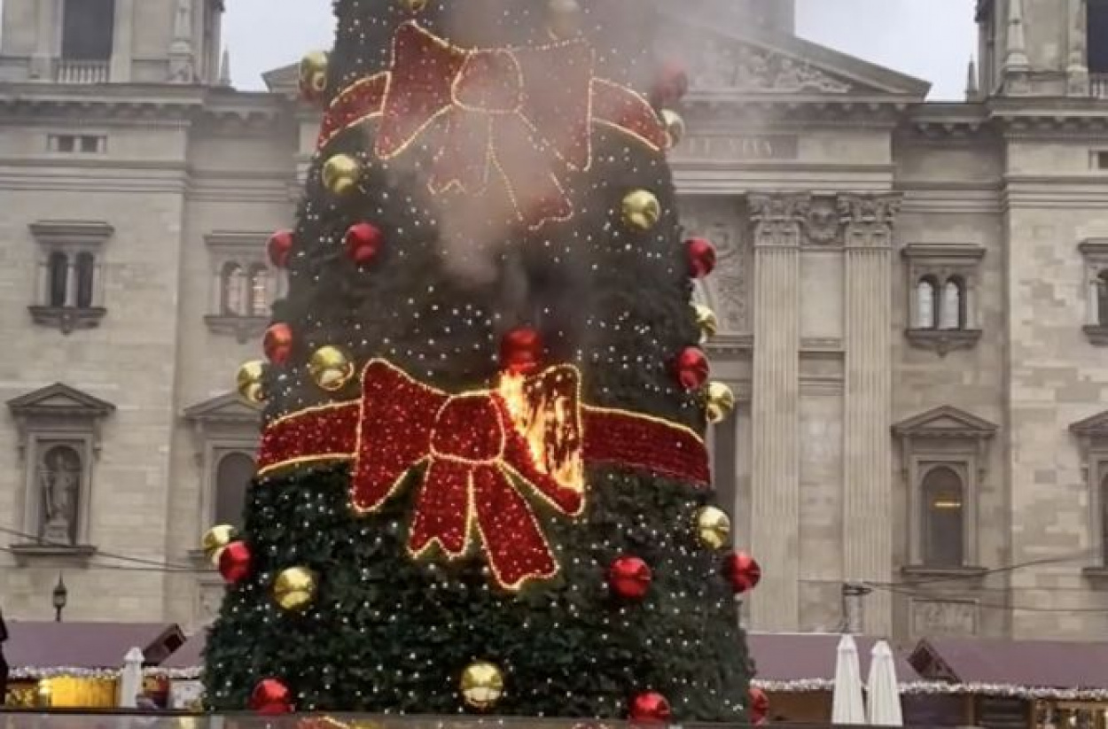 Kigyulladt a Bazilika előtt felállított karácsonyfa