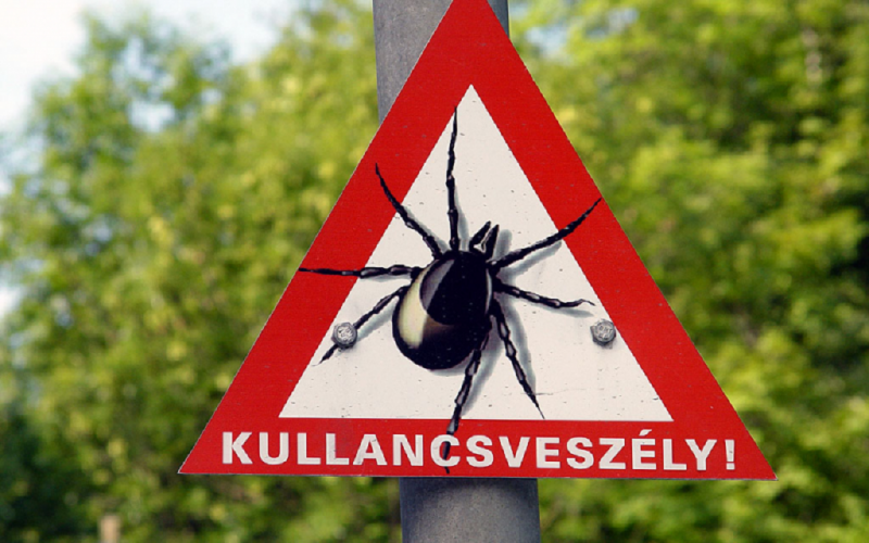 Most figyelj a kullancsokra!