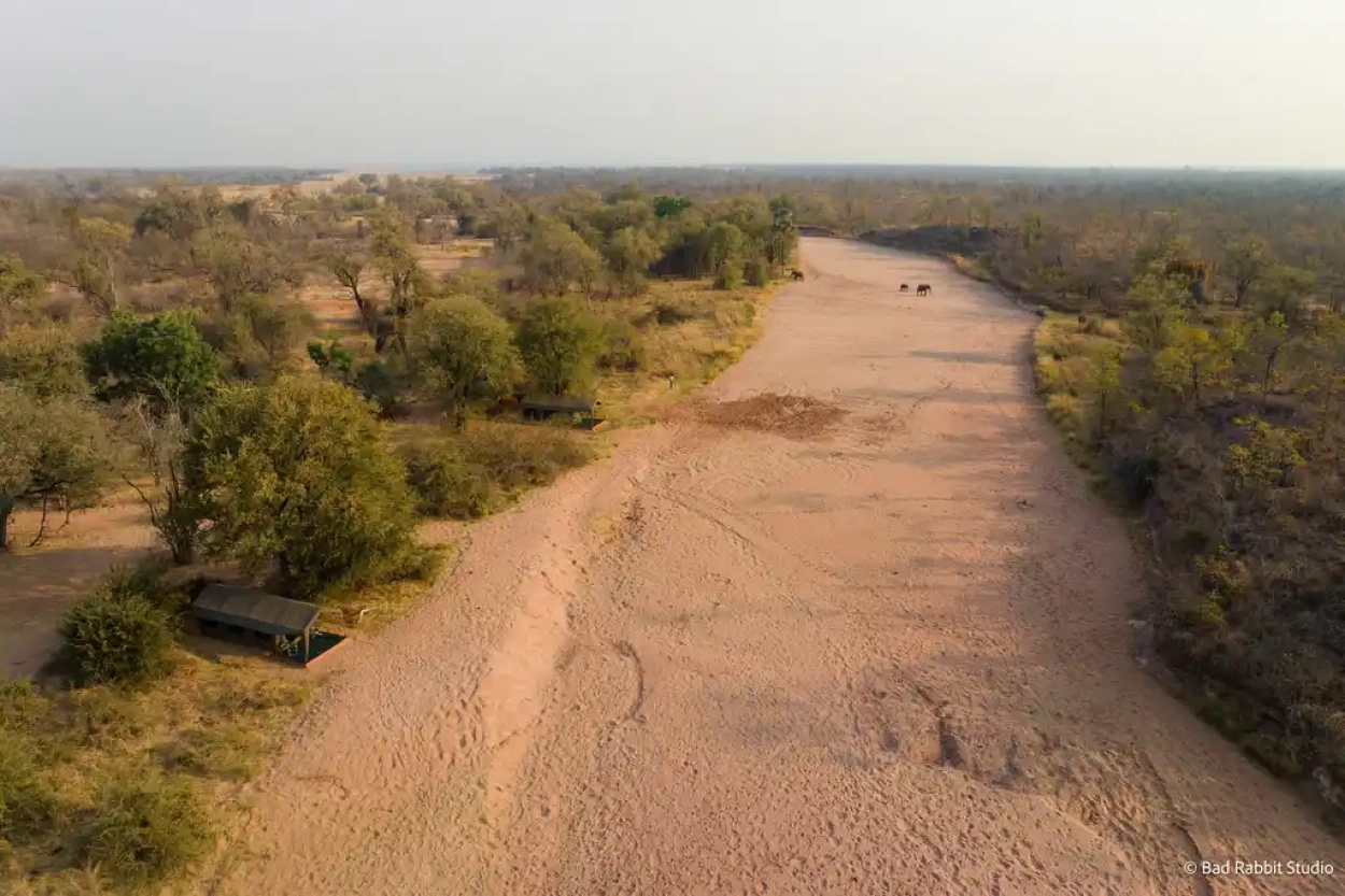 Hétéves fiú élt túl öt napot oroszlánok között egy zimbabwei parkban