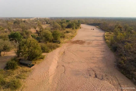  Hétéves fiú élt túl öt napot oroszlánok között egy zimbabwei parkban