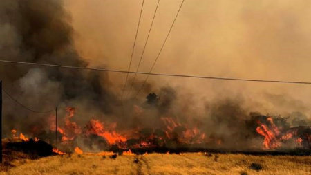  Gyújtogatás okozta a pusztító tüzet Rodoszon
