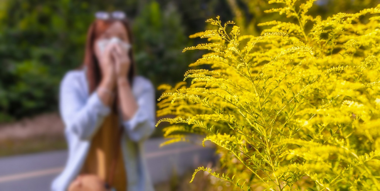 Allergiások riadó! Tetőzik a pollenszezon!