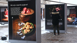 Advent - Gasztronómiai témájú szabadtéri fotókiállítás nyílt Budapesten