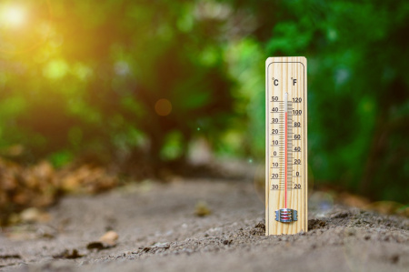  Másodfokú hőségriasztás! A jövő hét elején 36-37 Celsius-fok lehet