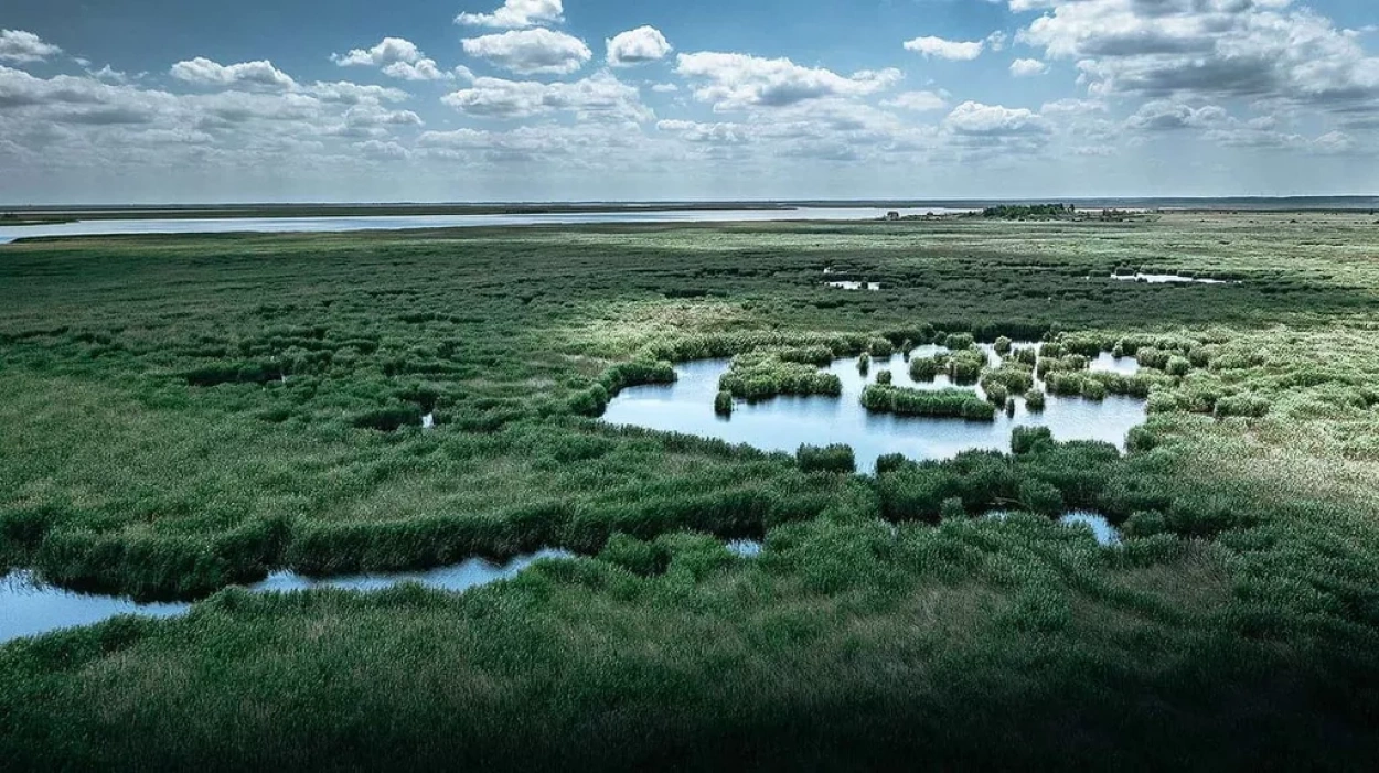 A Kúria a Greenpeace-nek adott igazat a Fertő tó ügyében