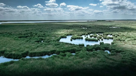  A Kúria a Greenpeace-nek adott igazat a Fertő tó ügyében