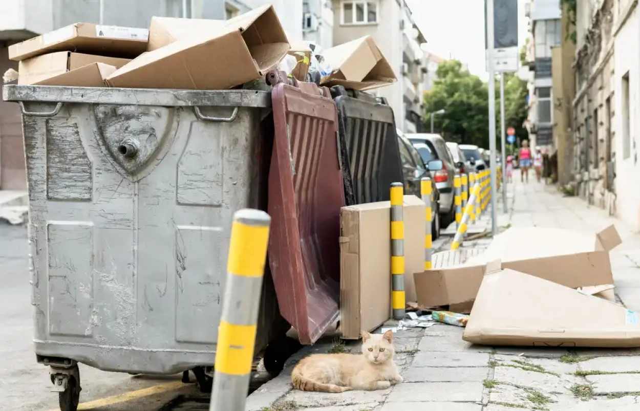 A hosszú hétvégén is a megszokott menetrend szerint működik majd a hulladékszállítás Budapesten