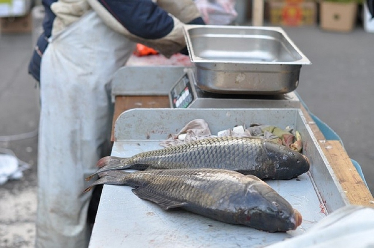 Brutális árak jönnek a karácsonyi halpiacon – tavalyhoz képest 40 százalékos az emelkedés