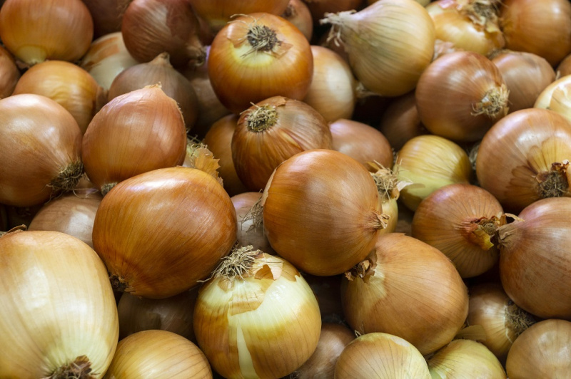 Ha ez így megy tovább, hagymahiány lesz a piacokon