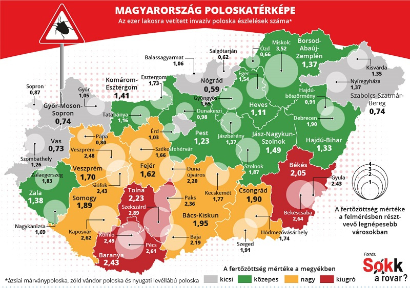 Elkészült az ország poloskatérképe