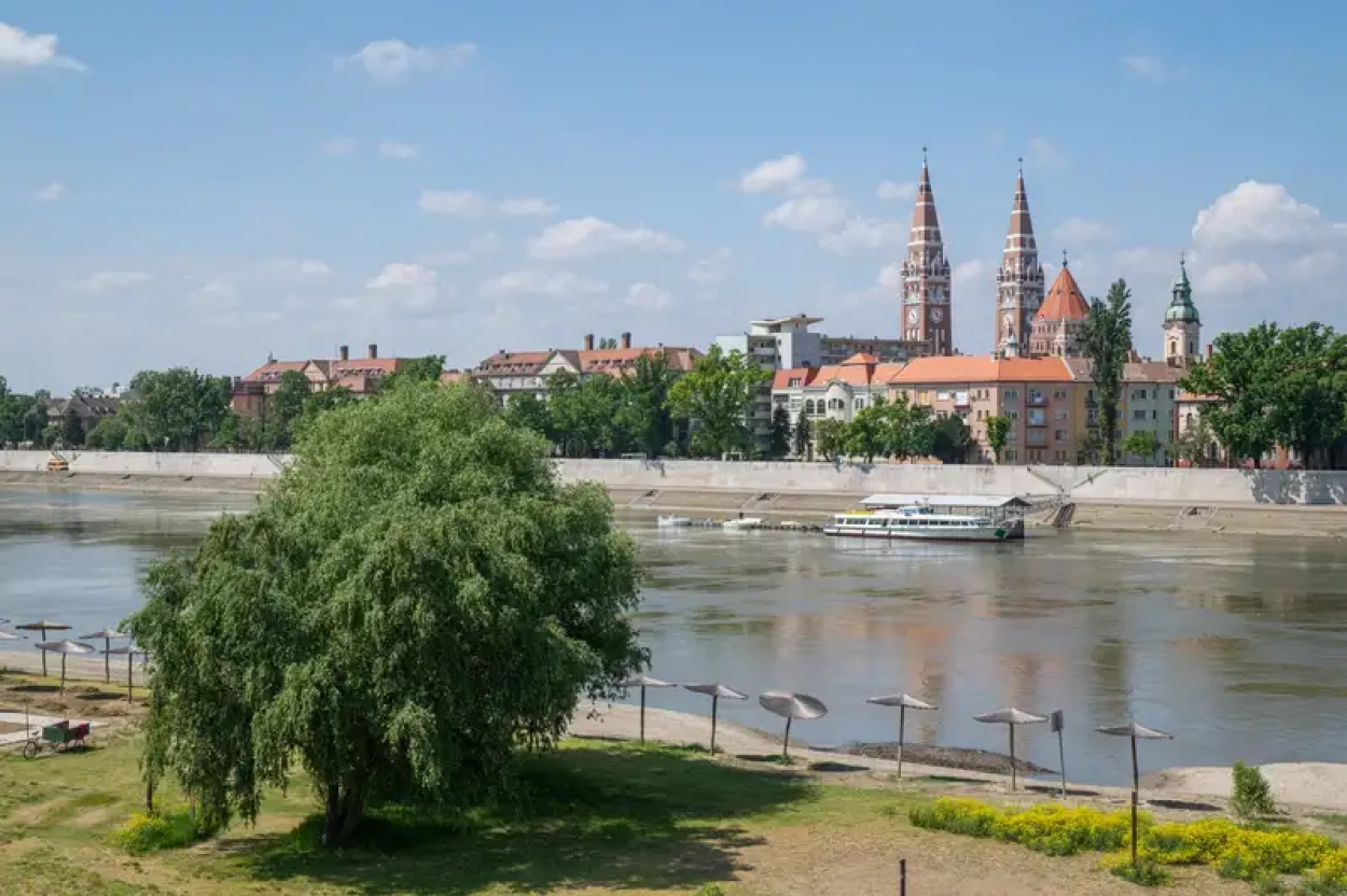 Pusztulnak a növények a száraz levegő és meleg miatt Szegeden